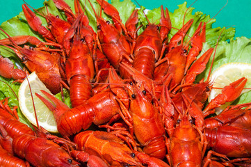 Boiled crawfish with beer