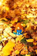 Beautiful felting elf in the autumn leaves.