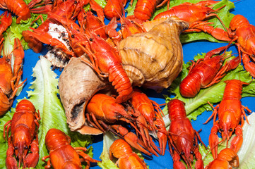 Boiled crawfish with beer