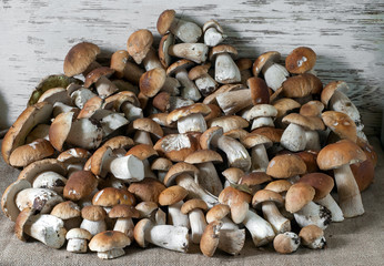 Porcini (white mushrooms) on a light wooden background