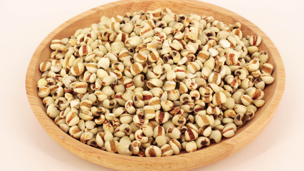 Millet rice , millet grains