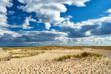 Sand dunes at Cape Cod