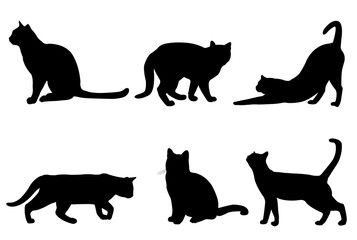 cats silhouettes - vector