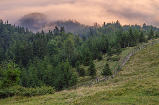 Misty dreamy landscape. Deep misty valley in autumn Carpathians park full of heavy clouds of dense fog. - Powered by Adobe