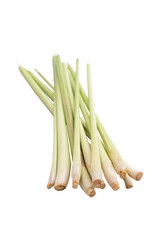 Lemon grass isolated on white background