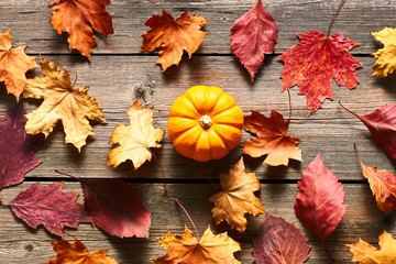 Naklejka na ściany i meble Autumn leaves and pumpkin