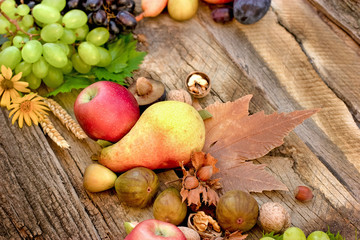 Fresh seasonal fruit, autumnal fruit on rustic table