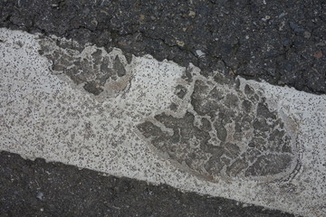 Abdruck in Strassenrand Markierungsfarbe