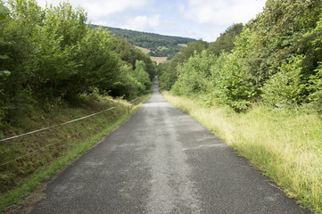 Fototapeta na wymiar Camino de Santiago from Roncesvalles to Zubiri