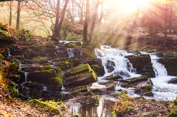 waterfall in misty autumn forest at sunset, Harz National Park, Germany