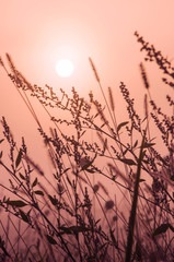 Meet the new autumn day