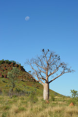 Mount Hardman