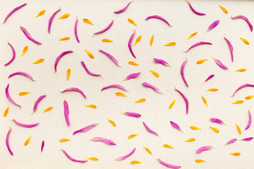 petals flowers on cotton canvas background. Top view, flat lay pattern