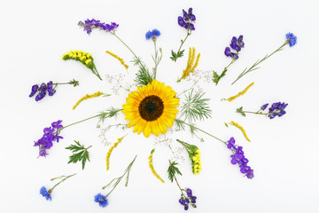 Composition flowers on white background. Top view, flat lay - 119804384