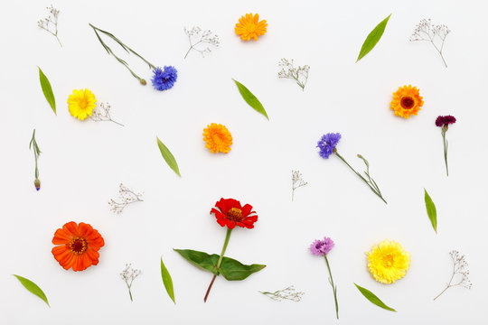 Composition flowers on white background. Top view, flat lay pattern