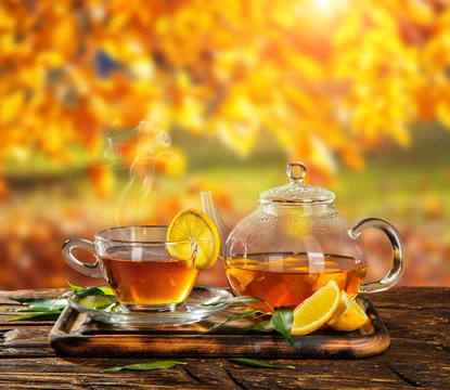 Autumn still life with tea cup on wooden planks