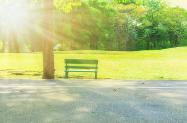 Bench in the city park