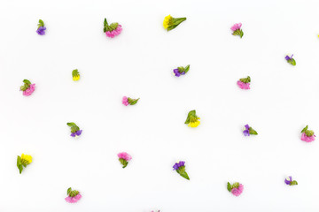 Composition flowers on white background. Top view, flat lay pattern