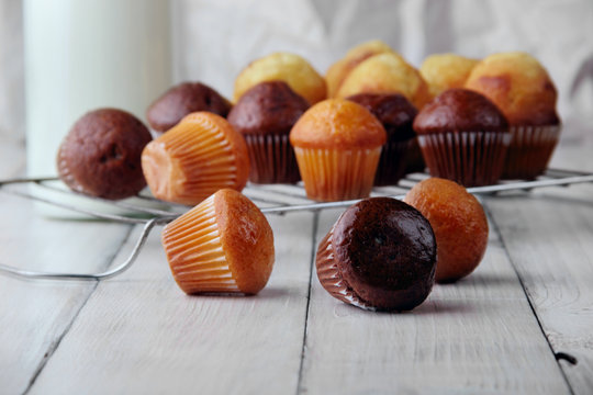 chocolate and simple mini muffins on white wooden table scattered.Selective focus.Three muffins on first plan many muffins and bottle of milk with tbule on second plan.