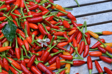 Small chili on a wooden table