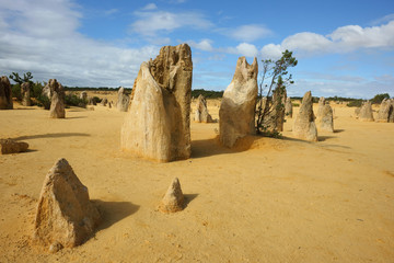 Pinnacles desert