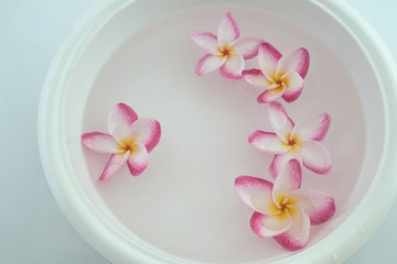 Foot bath in bowl and tropical flowers