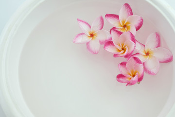 Foot bath in bowl and tropical flowers