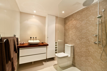 Bathroom of the luxurious house
