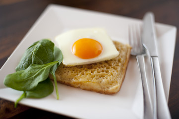 Square fried egg on a square crumpet