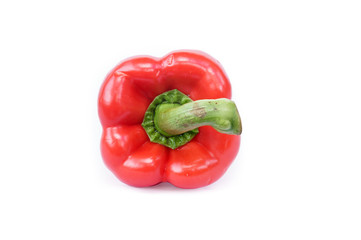 Bell pepper