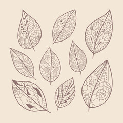 Obraz premium Leaves doodle