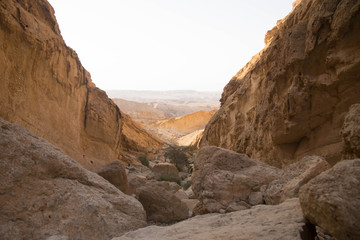 Obraz premium Desert landscape
