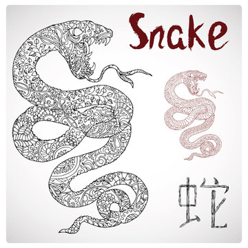 Zodiac illustration of snake with zen floral pattern and lettering