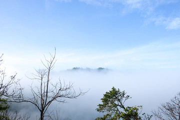 Mountain and Beautiful fog at Chong yen, Kamphaeng Phet, Thailand
