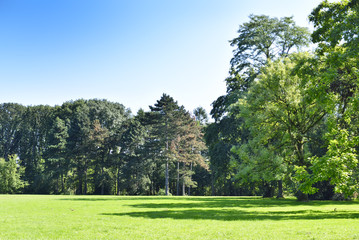 Idyllic parc scene with forest and blue sky.