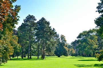 Fototapeta na wymiar Idyllic parc scene with forest and blue sky.