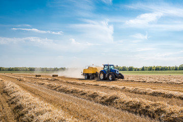 Mechanized picking straw and square baling
