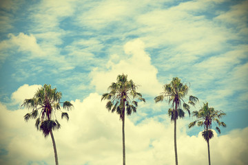 Four tall Palm trees with blue cloud filled sky background. Vintage, retro effect