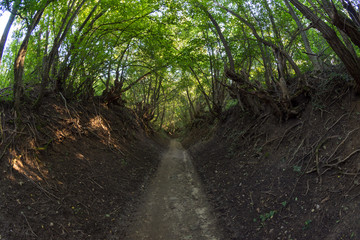 Natural reservation Cheile Nerei, Tunnels section, Romania, Nera river