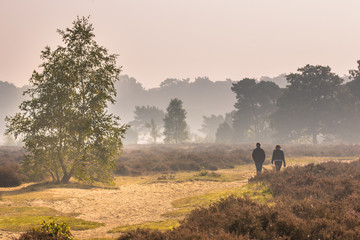 Obraz na płótnie Canvas People walking along path through heathland under autumn light