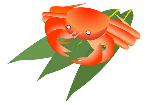 99 最適な 生毛蟹 画像 ストック写真 ベクター Adobe Stock