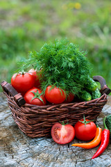 Basket and wooden plate with fresh vegetables (tomatoes, cucumber, cilli pepper, dill)