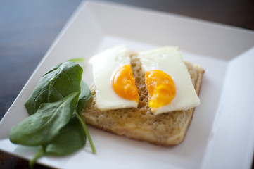 Single toasted crumpet with fried egg