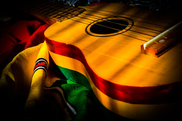 Naklejka premium reggae ukulele w tle