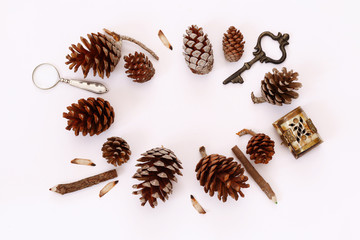 Top view of vintage objects and pine cones