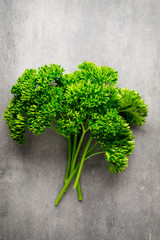 Green, fresh parsley on gray metal surface.