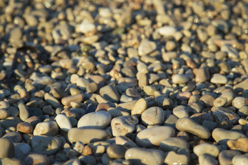 Close up stones on the beach