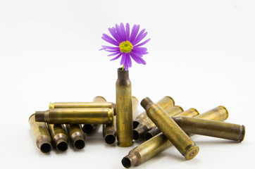 War and Peace, peace-full bullets, peace full bullets, bullets with flower, gun bullets shell