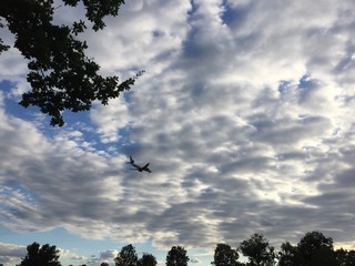 Fly into the Sky