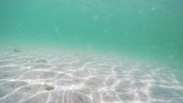 rocks and sand underwater in Sardinia 